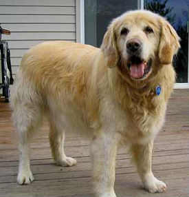Sam #1172