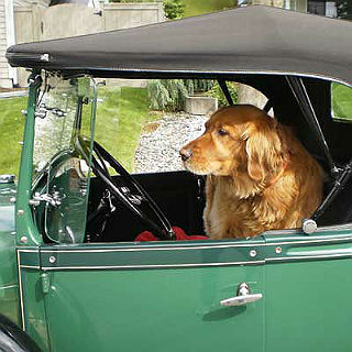 1211_toby_2