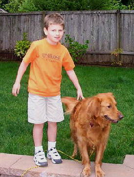 Ginger #1377