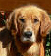 Rylee #1597