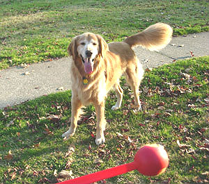 Charlie #1625