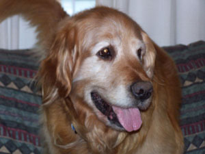 Clyde #1689