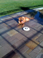 Josie #1722