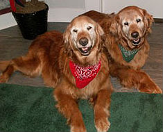 Maxwell #1767 Mckenzie #1768