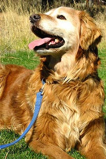 Maxwell #1767 Maxwell #1767