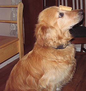 Topper (#1908)