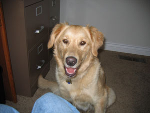 1984_Maggie_1