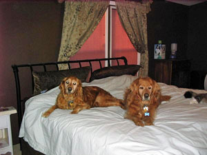Annie 1994 and Casey !995