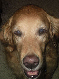 Trudy #2044