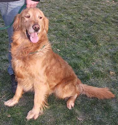 Rudy #2085