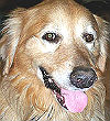 Cheyenne #2107