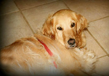 Madelyn #2183