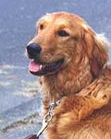 Sam